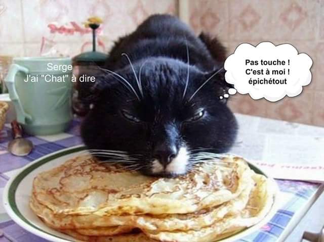 Alors_Chat tweet picture