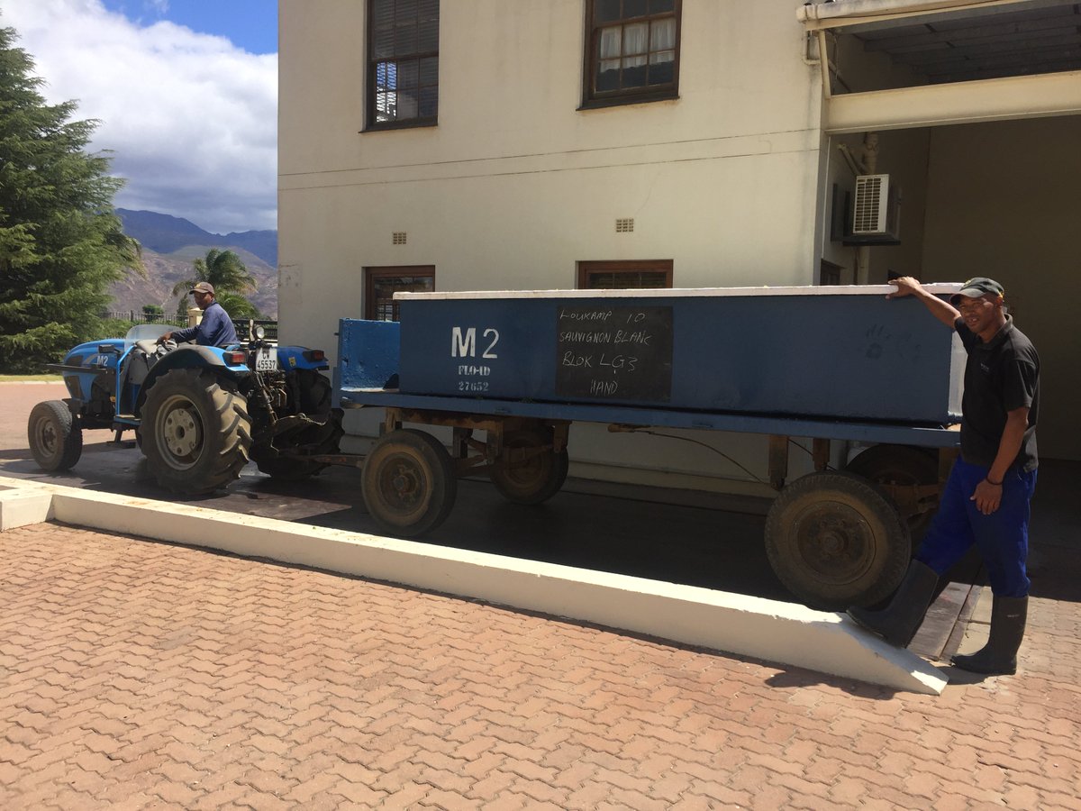 MerwidaWines's tweet photo. Last truck of today's harvest! Happy workers here at Merwida - everyone loving harvest time! #SlowRipening #Harvest2017 #Merwida https://t.co/dlTCVJTyk0