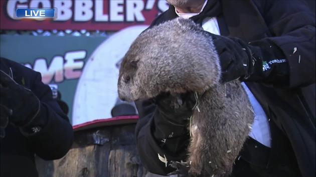 ABC7Chicago's tweet photo. Punxsutawney Phil predicts 6 more weeks of winter: https://t.co/GvxXnEfDdF https://t.co/54UAqUYZ2a