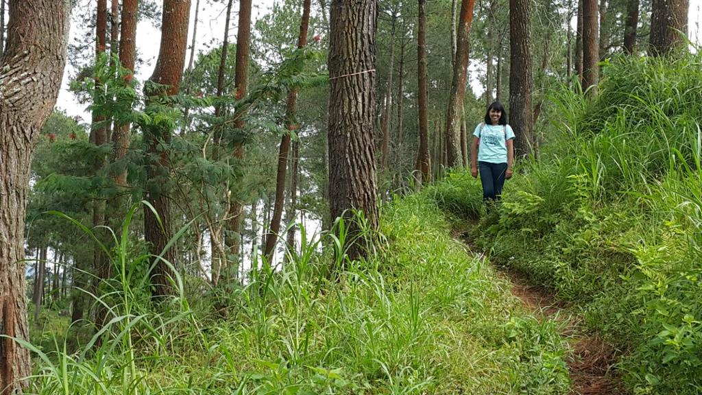 marmar8485's tweet photo. Me in the woods last Saturday. My face tells it all. 😍😍😍 https://t.co/ht8KJa88Z0