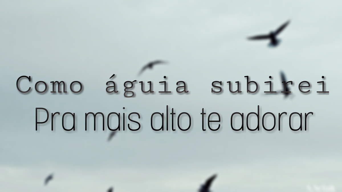 foidegraca's tweet photo. https://t.co/d1dVa6laIU