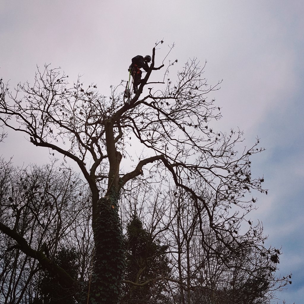 Russell Ambrose (ambrose_ra) / Twitter