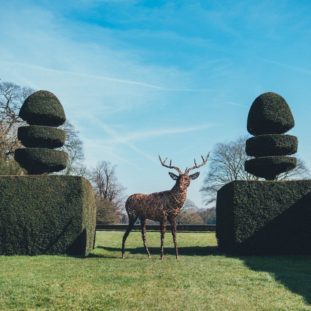 CraftLeeds's tweet photo. Sneaky peek at our new exhibition #branchingout starting on 18th March https://t.co/fqy02e1V0U #inspired by the #beauty of #trees #35years https://t.co/KtMFxIn1lY