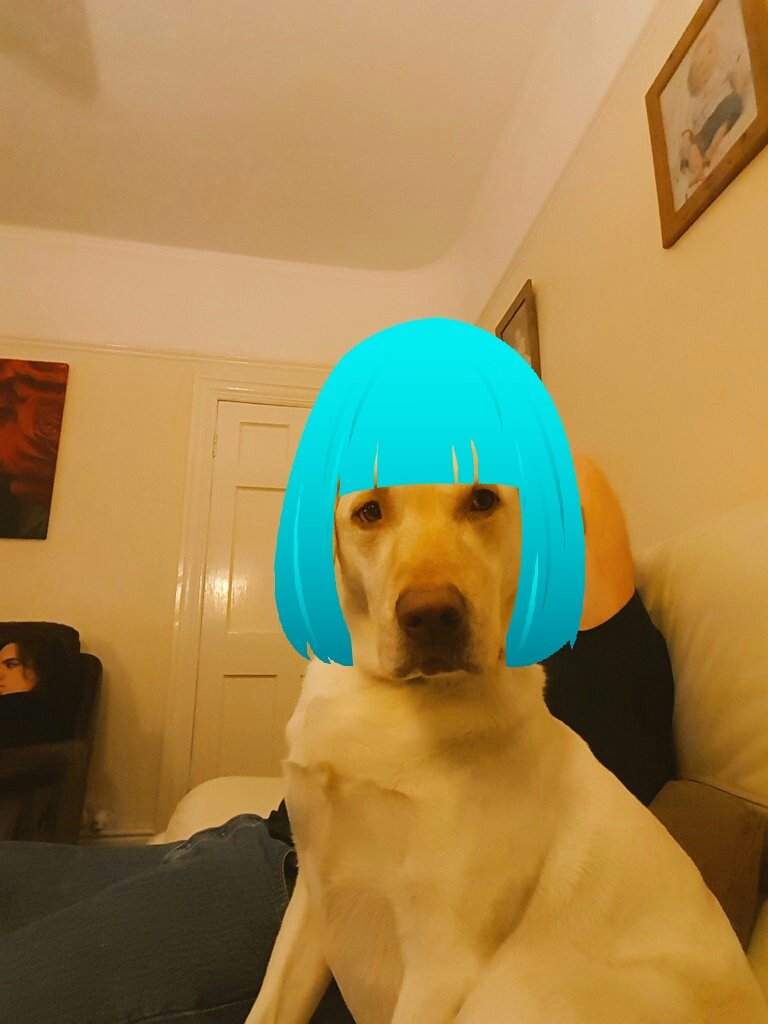 nuttylass1974's tweet photo. @Kazwarr 😂😂😂😂 xx https://t.co/1m9PEP1dXz
