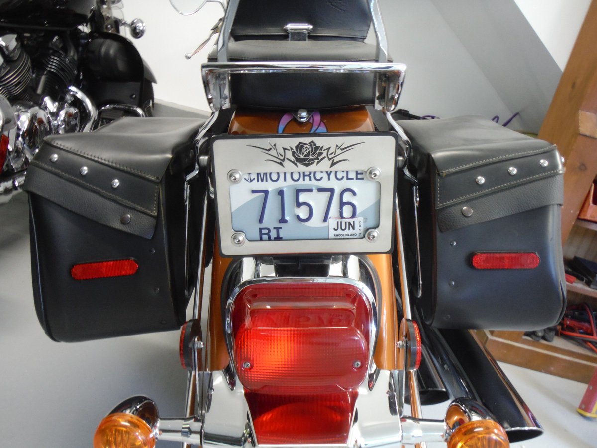 A single rose for your lady biker. Say Happy Valentines with style and class. Visit angelartmotorcycledesign.com. 15% Off Sale-2day Priority ship