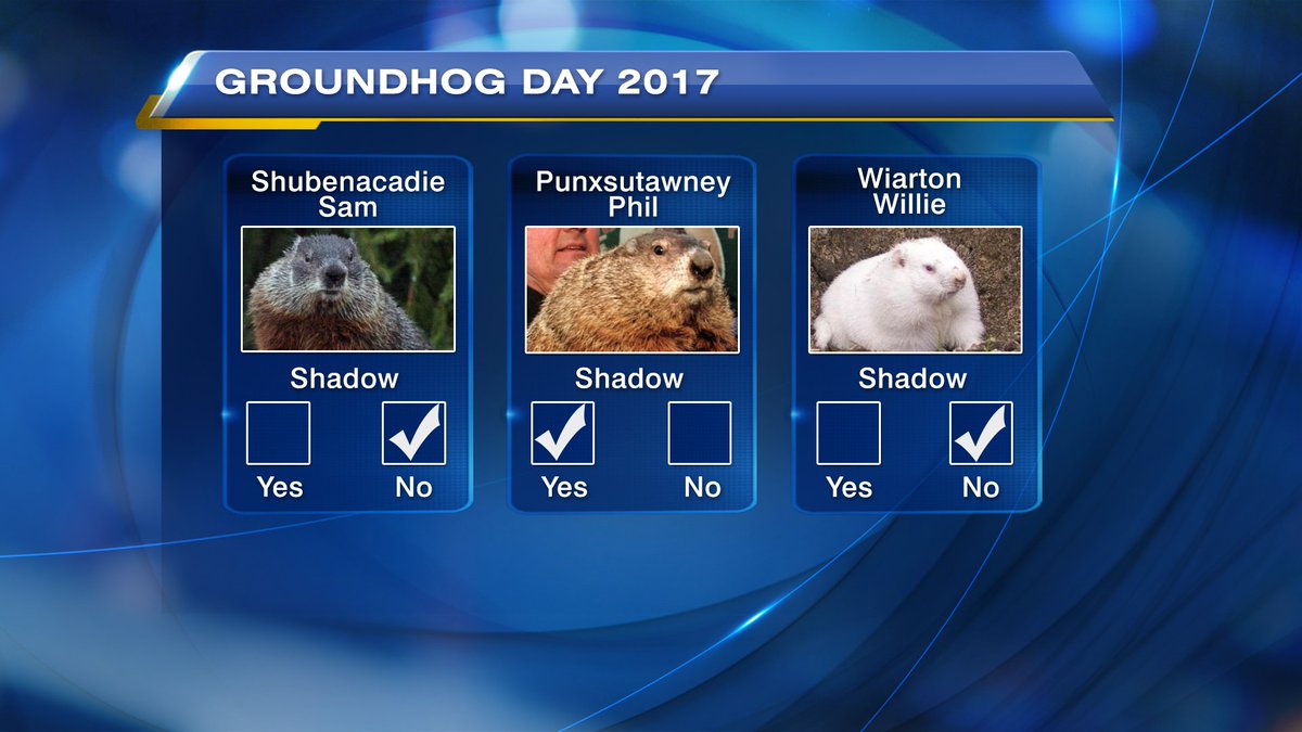 KevinFrankish's tweet photo. BREAKING #GroundhogDay NEWS; #wiartonwillie breaks the tie!  DOES NOT SEE HIS SHADOW = Early Spring @BTtoronto @willieofficial https://t.co/4DDpVLfuQl