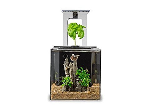 EcoQubeC Aquarium - Desktop Betta Fish Tank For Living Office And Home Décor order.sale/ZfBh (via Amazon)