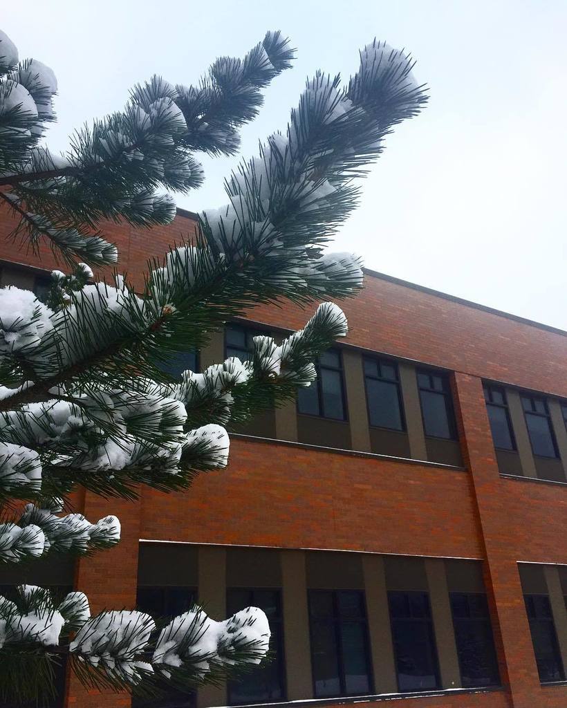 SmilesandSugar's tweet photo. Always looking up...
.
.
.
.
.
.
#LOVE #RIT #prettybricks #admissionslife #thursdaymorning… https://t.co/d07B7crfR8 https://t.co/IwRBSPfbBO