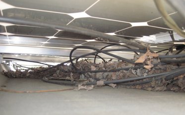 nick_korth's tweet photo. At the @SOMOConference today? Check out my guy Phil Walker talk  #Solar Wire Management @ 10 PST, &amp; see doozies like this https://t.co/5ZZ2YwWjQT