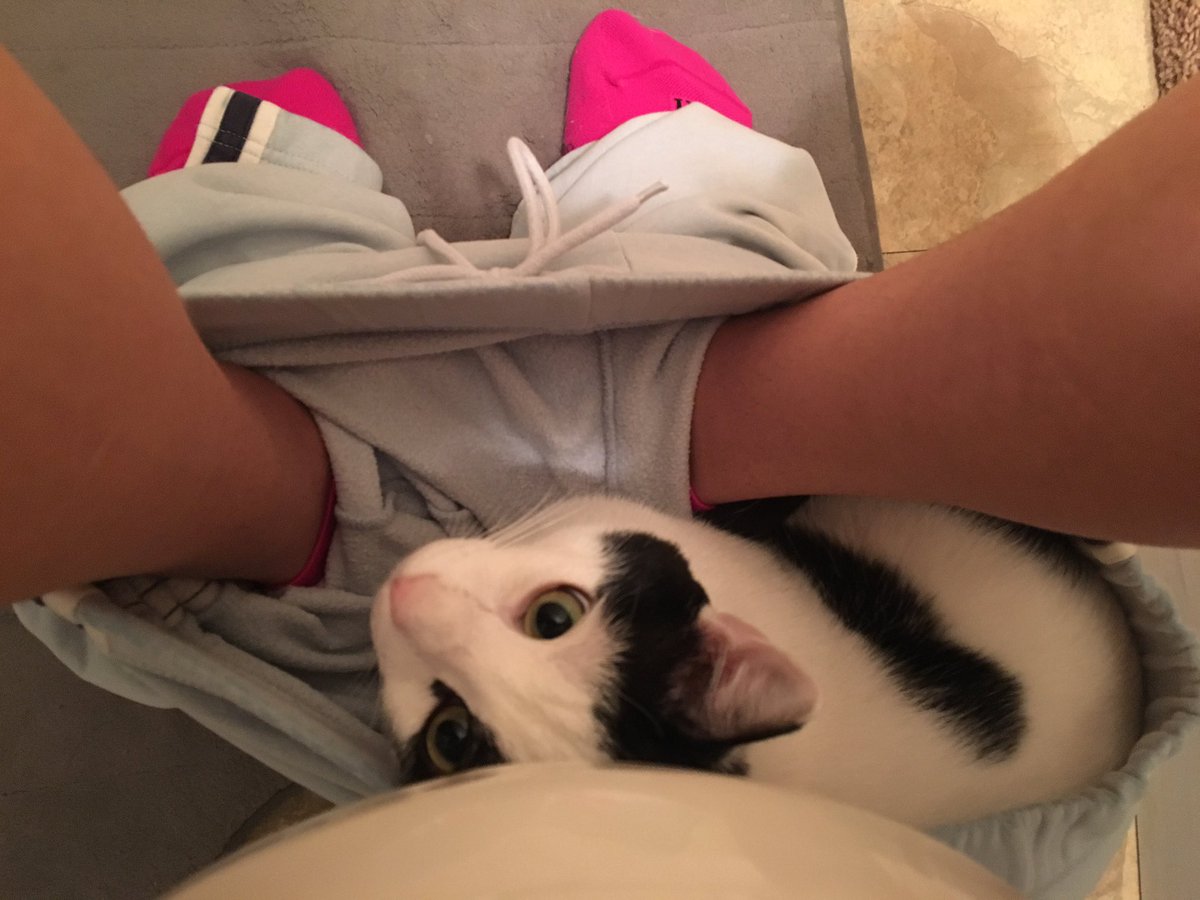 And so begins my day.