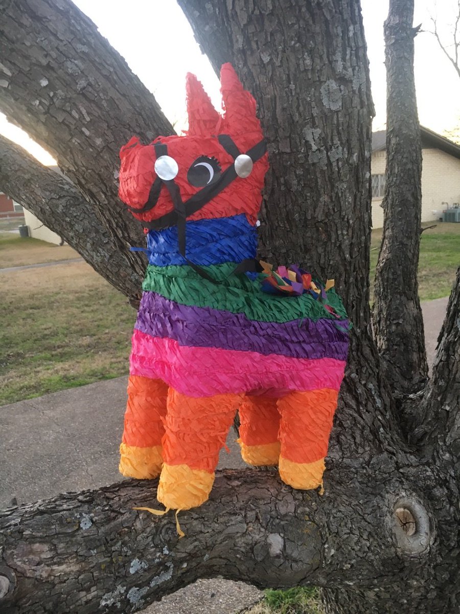 GeorgiaPinata's tweet image. Why won't you speak?
Where I happen to be
Silent
In the trees
Standing cowardly