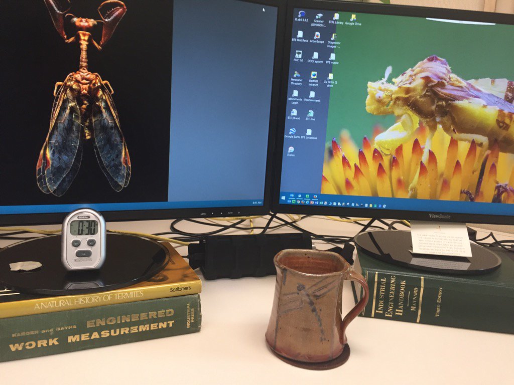 TreeBugGal's tweet image. Aaaaand, let the day begin!