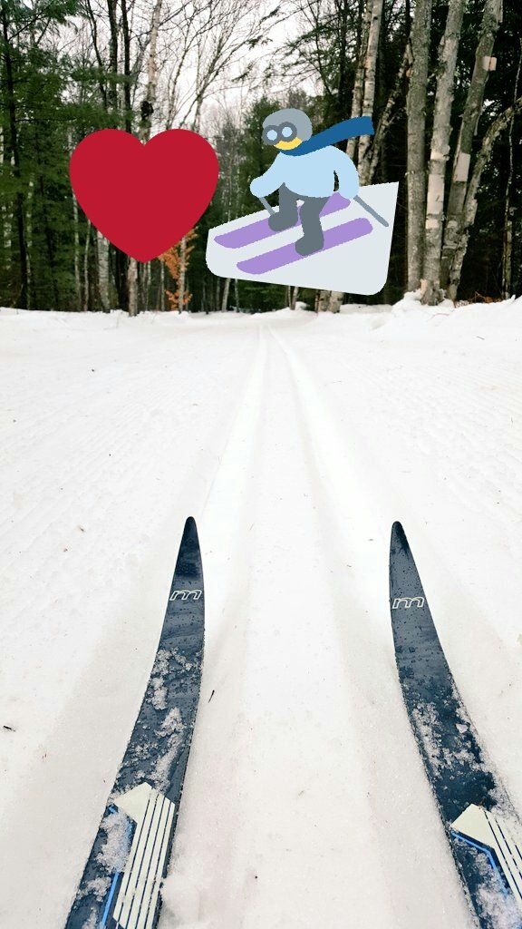 Looking forward to another weekend of XC skiing <a href="/ArroPark/">Arrowhead Provincial Park</a>