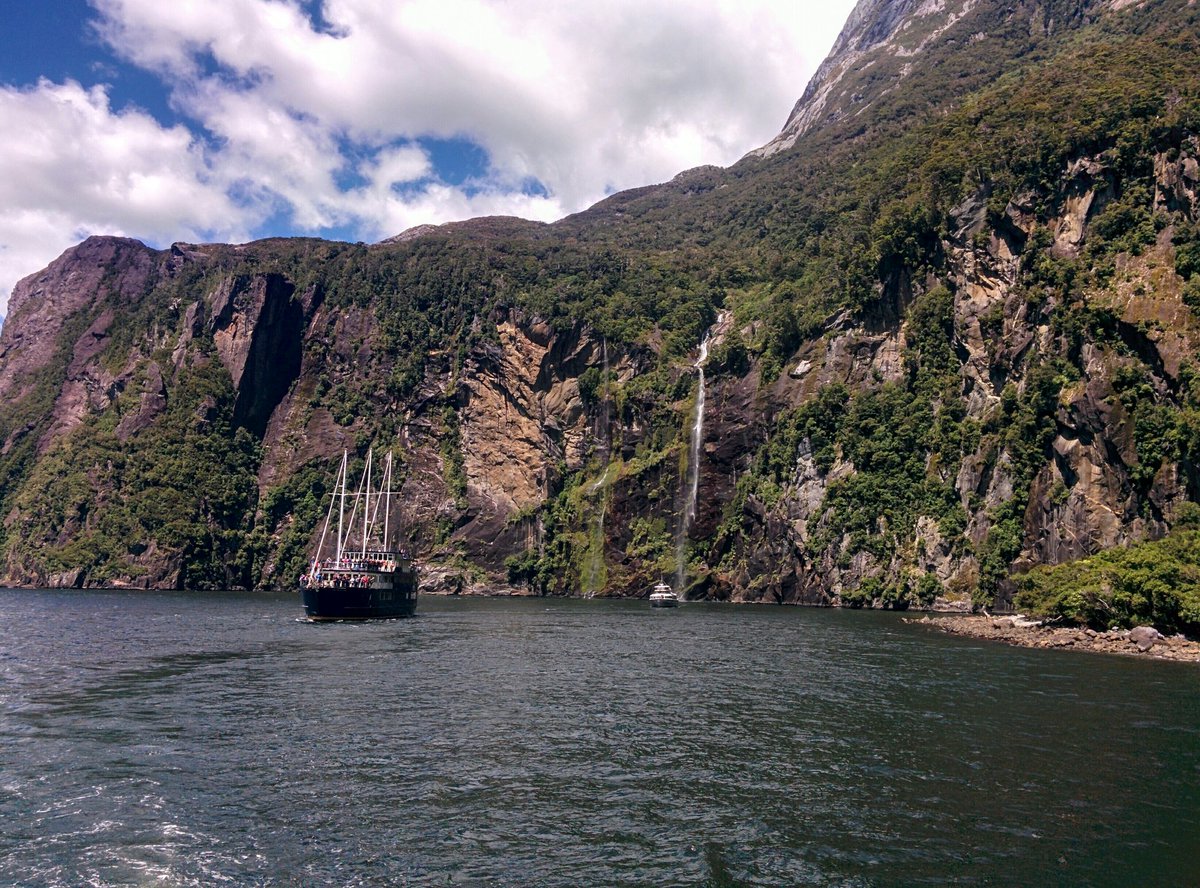 ASeecamp's tweet image. Fjordland ❤️
Milford Sound was an absolute highlight of the trip