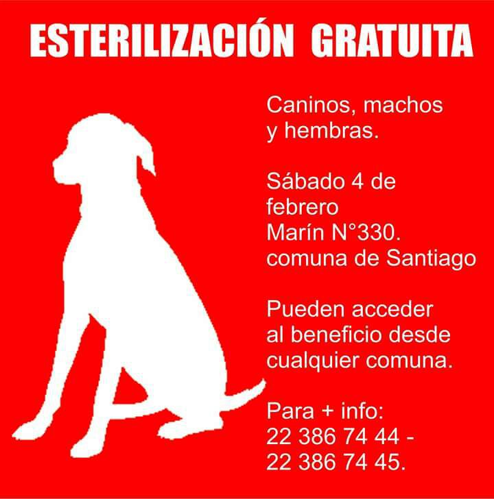 Perras Tuiteras🐾 Barrio Franklin 🇨🇱🐶🐱 tweet media