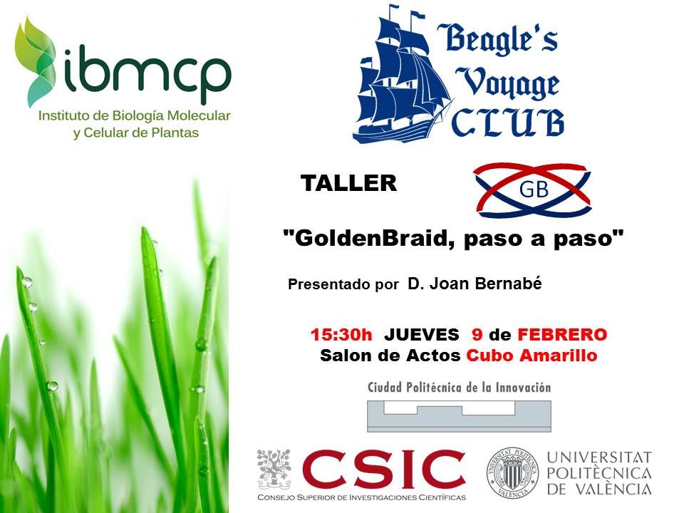 El club de estudiantes del IBMCP "Beagle's Voyage Club" organiza este taller de uso de GoldenBraid <a href="/gbcloning/">GoldenBraid 2.0</a> gbcloning.upv.es