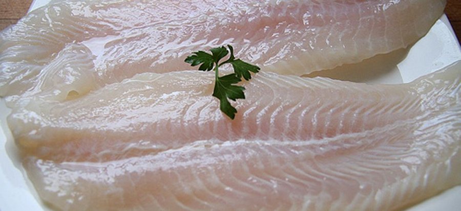 Mucho se habla sobre el #panga Quieres sabes qué dicen nuestros expertos en acuicultura sobre esta especie? azti.es/blog/controver…