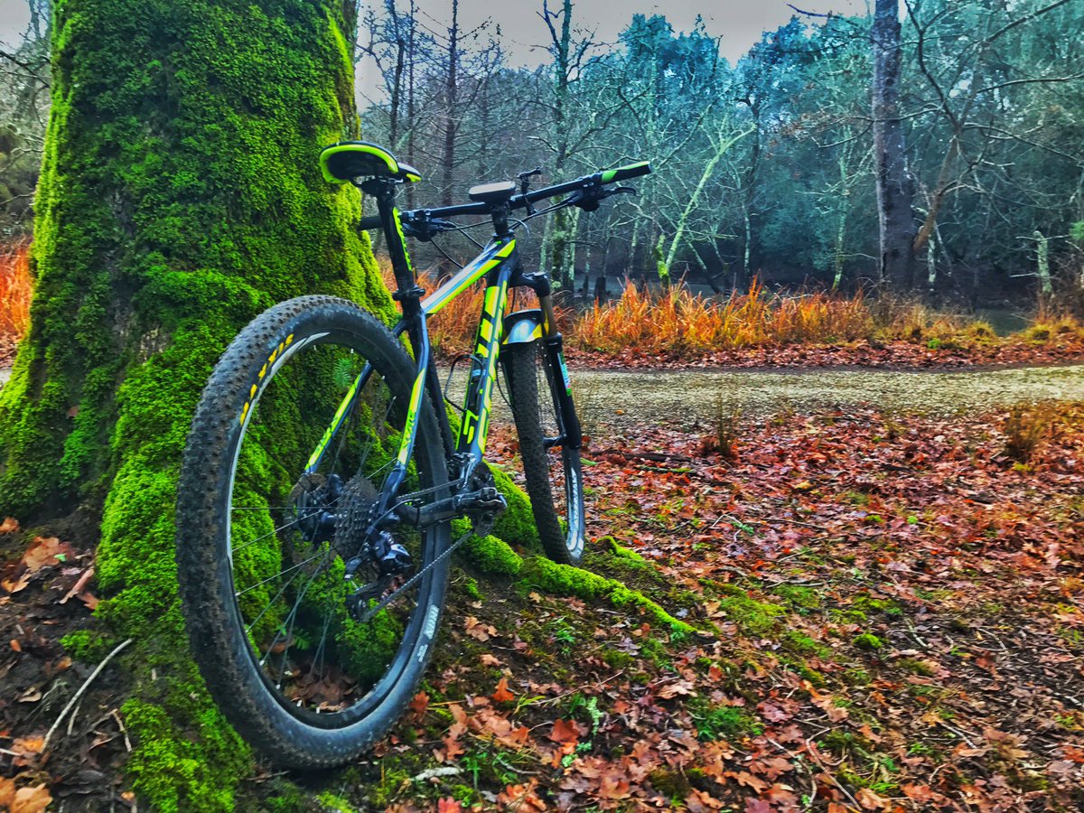 Teo53Doriangrey's tweet photo. #mtbteo53 #mtb le lame nella #tenutasalviati con una giornata grigia la tenuta era di mille colori. https://t.co/bjZuPG0X82