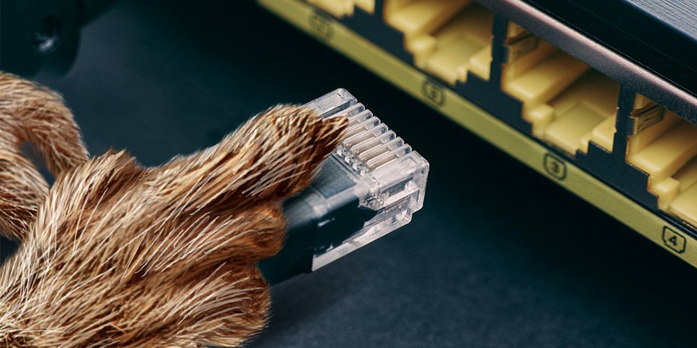 Lenovo's tweet image. We heard Punxsutawney Phil is only coming out because gigabit internet is finally coming to his neighborhood. #fakenews #GroundhogDay