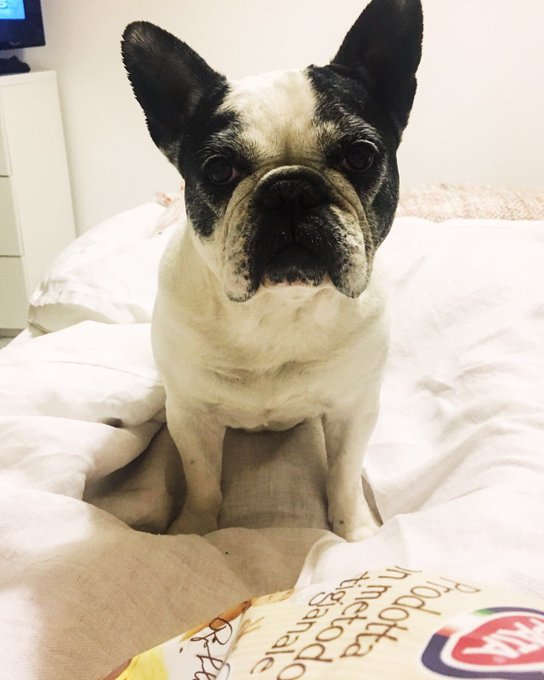 Giornata io &amp; te ❣️#Matilde https://t.co/PCUwJoDrFX<a href="/tag/matilde"class="tags">#Matilde</a>