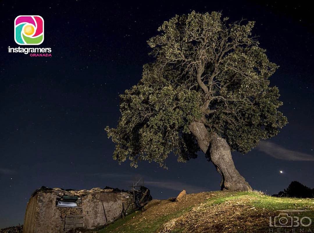 IgersGranada tweet media