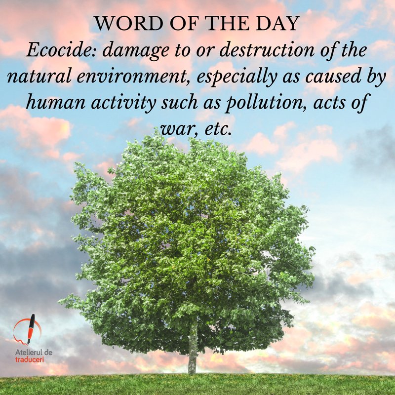StudioTranslate's tweet photo. #WordoftheDay #atelieruldetraduceri #translatestudio #ecocide https://t.co/LqLCAlqW9p