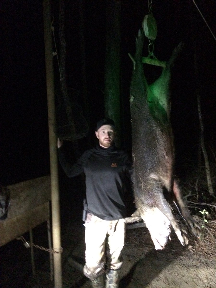 mikey_baha's tweet photo. 170lbs sow. #panolacountytx #bowtech #carbonknight #goldtip #swhackerbroadheads #Trufirerelease #easttexas #realtree https://t.co/ETh1HBVVW7