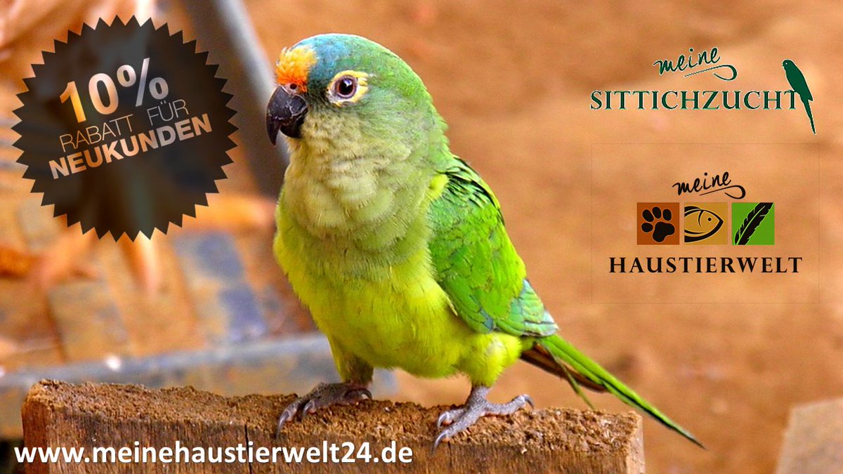 Meine Haustierwelt (@haustierweltpot) on Twitter photo 