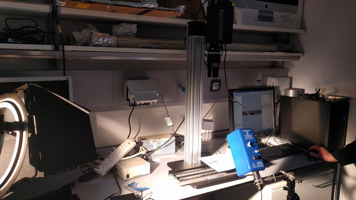 Taking photos of butterflies! #colsci #HyperspectraPhotography .