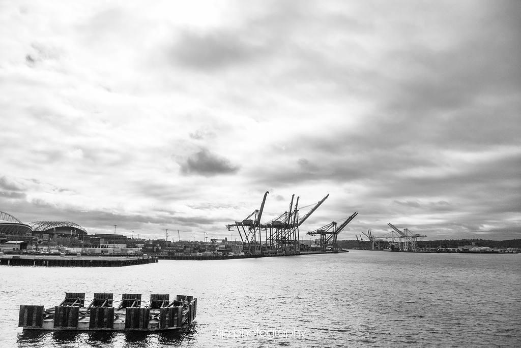 SijoPhotography's tweet photo. A land of mechanical cranes
.
.
.
.
#exploreseattle #Washington #ocean🌊 #bayarea #chasingl… https://t.co/0yWL2bpT6J https://t.co/t9mZDknDUr