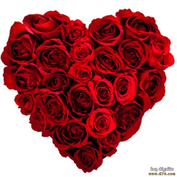 أخبرهم يا قَلبـ♡ــيے
پ أنك لست حجر
وأخبرهم پ أنك قلب
ڪ باقي البشر
يشعرويحب ويتألم
وكل شي فيةيترك أثر

#قروب_سكر_للدعم
#قحاطين_اليمن_للدعم