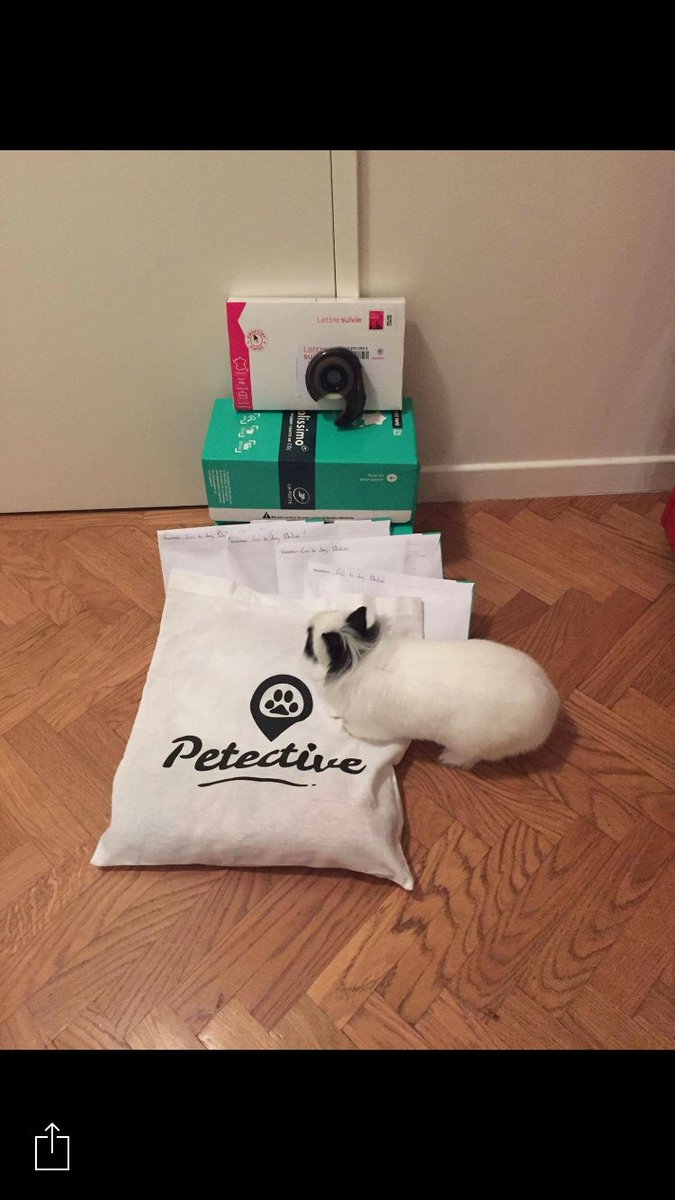Petective_app's tweet photo. Ça y est les amis, les dernières contreparties sont expédiées ! Gus est soulagé d'apprendre cette nouvelle #petective #animauxperdus #ulule https://t.co/ciOlR6xFYz