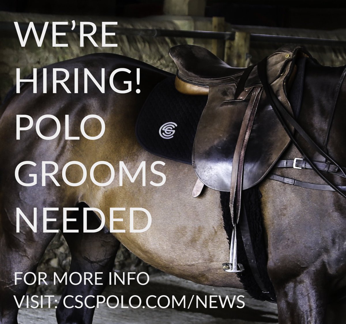 Join our team: cscpolo.com/news/2017/2/2/…