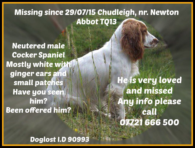 FindOurPup's tweet photo. Billy #Chudley 29/07/15
Ask your MP 2 attend #DogTheftAwarenessDay 14/03/17 Portcullis House 12-3pm
#Devon https://t.co/9mXSvpcNQD