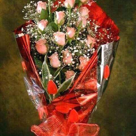 Ismail Ahmed tweet media