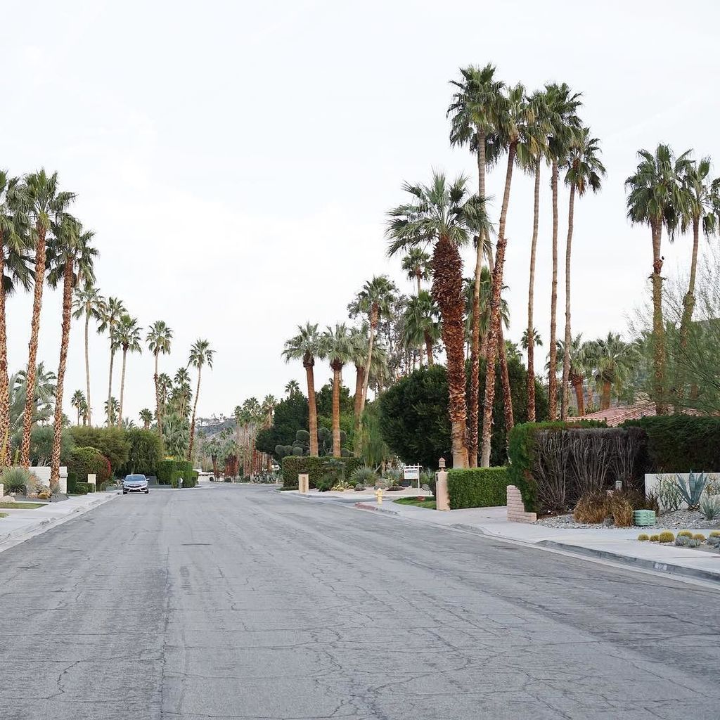 Repolished's tweet image. 🌴What's your top recommendation for Palm Springs? 🌴I have an extra hour tomorrow  afternoo… ift.tt/2k03QrV