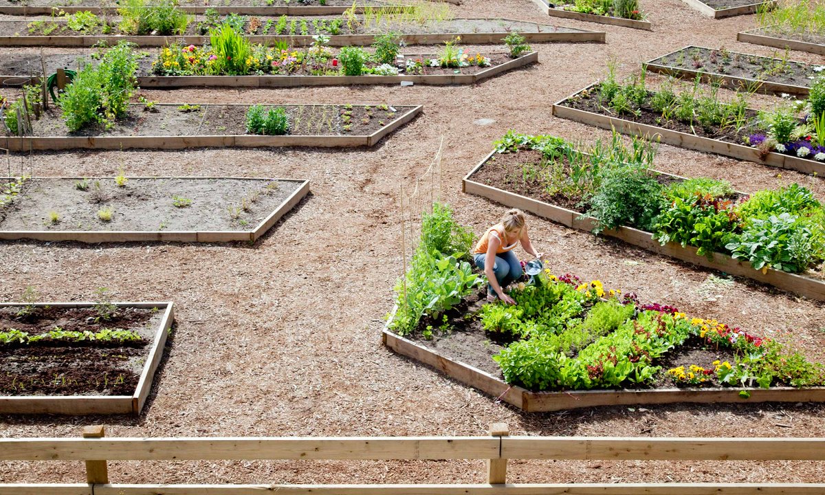 Urban farming is helping create 3,000 new jobs in Vancouver: bit.ly/2j8szhk