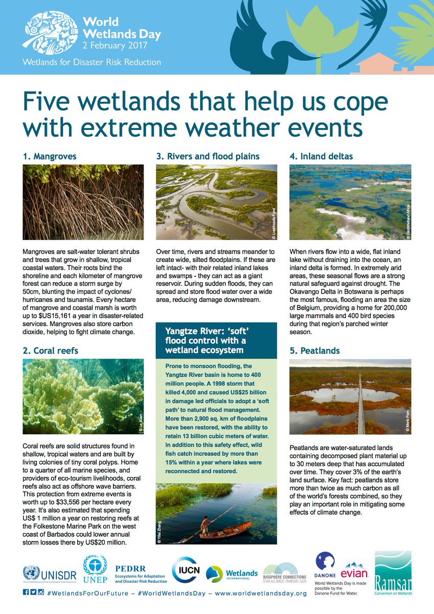 ThinkNamibia's tweet image. Today is World Wetlands Day! 
Learn more about how important wetlands are to our #environment 
#WetlandsForOurFuture #ThinkNamibia