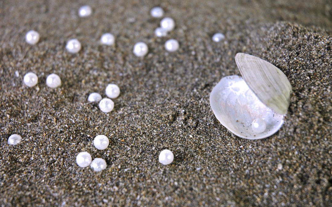 PaedEmergencies's tweet image. New Podcast Just Released: Paediatric Critical Care Pearls - Part 3
paediatricemergencies.com/index.php/2017…