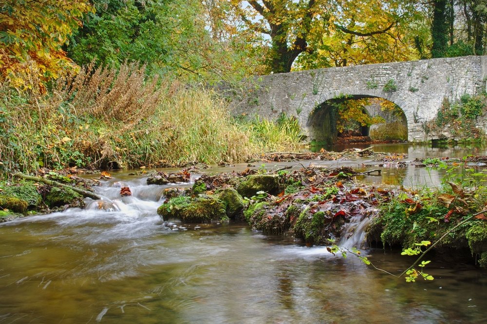 River Nuenna - Freshford - The river Nuenna as it runs through Freshford, Co. Kilkenny #beatiful #river #kilkenny