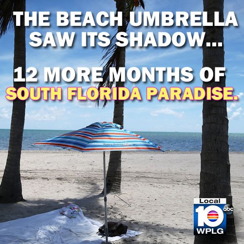 That rodent up north knows nothing!!! https://t.co/tW33PbFTTe