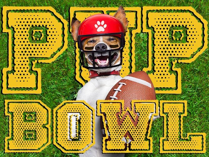 PetSmart1250's tweet photo. Please join us the weekend for the #2017PupBowl — Excited to partner with @shopbellehall &amp; @Adoptatcas! Bring your best game face! 11a-2:30p https://t.co/CzjOJHi4xJ