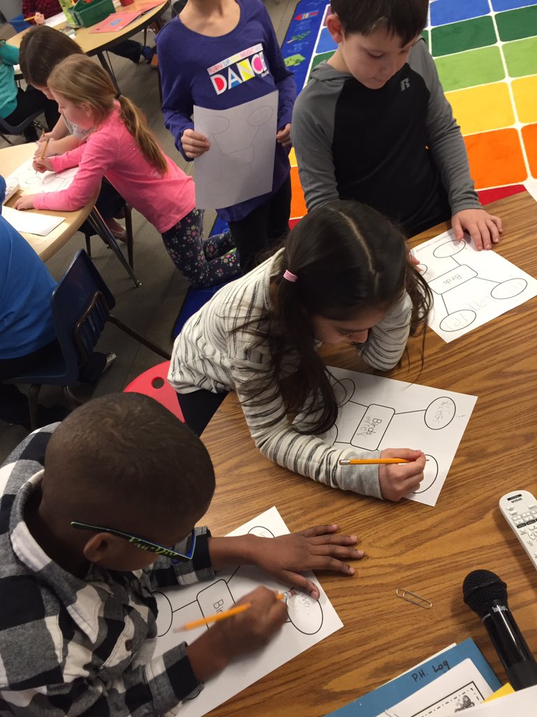 MWolynski's tweet photo. Learning about birds in Social Studies with @brookeblynch's class! #pattengilllpride https://t.co/eiFkTufS0k
