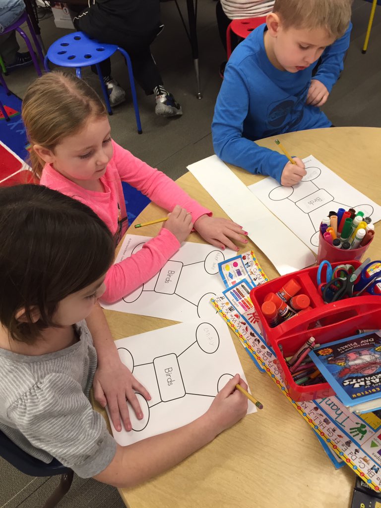 MWolynski's tweet photo. Learning about birds in Social Studies with @brookeblynch's class! #pattengilllpride https://t.co/eiFkTufS0k