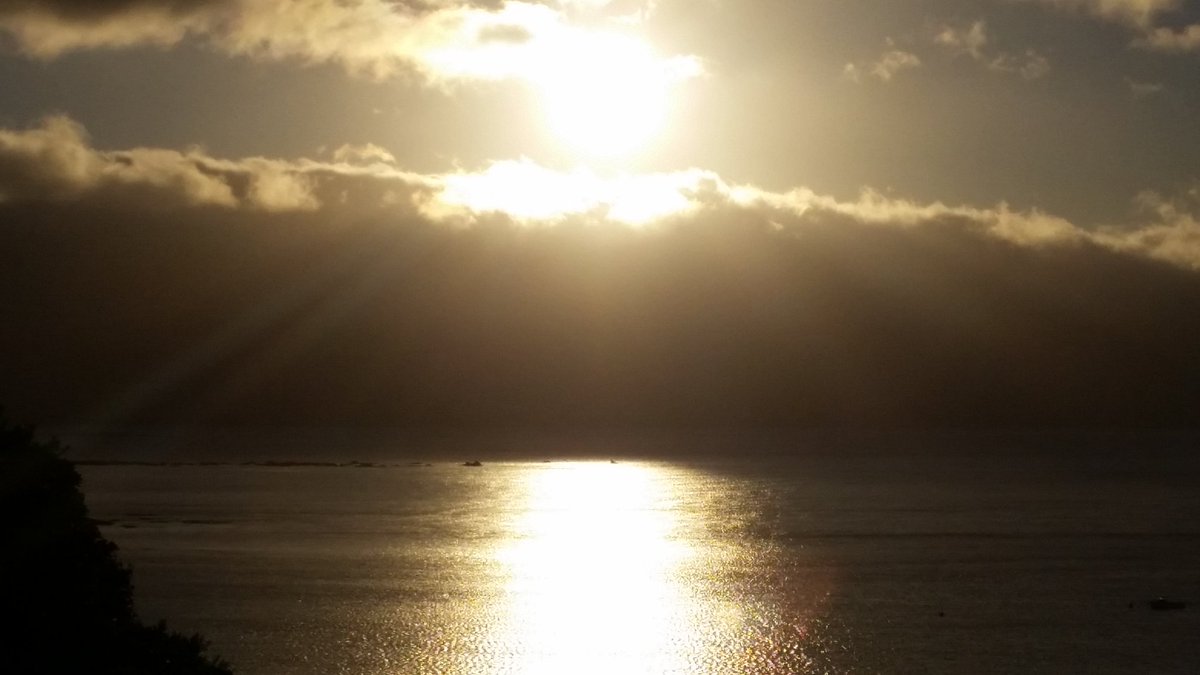 suejclement's tweet photo. Yes! Sun! I hope it hangs about. https://t.co/TazYWxawyp