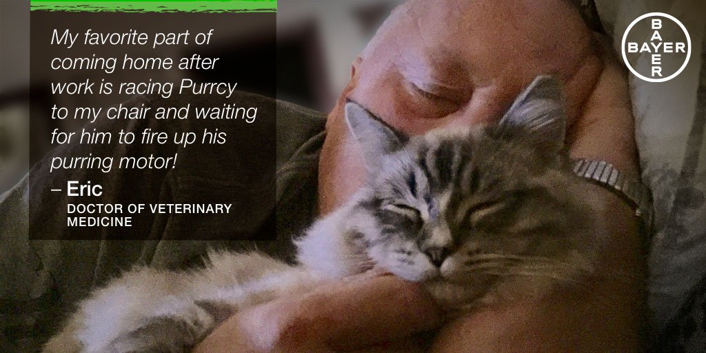 Elanco4Pets's tweet photo. Long day at the office? Employee Eric Nichols likes to wind down by hanging out with his #cat! #InternationalFriendshipMonth #BayerPet https://t.co/wUUptZL2jY