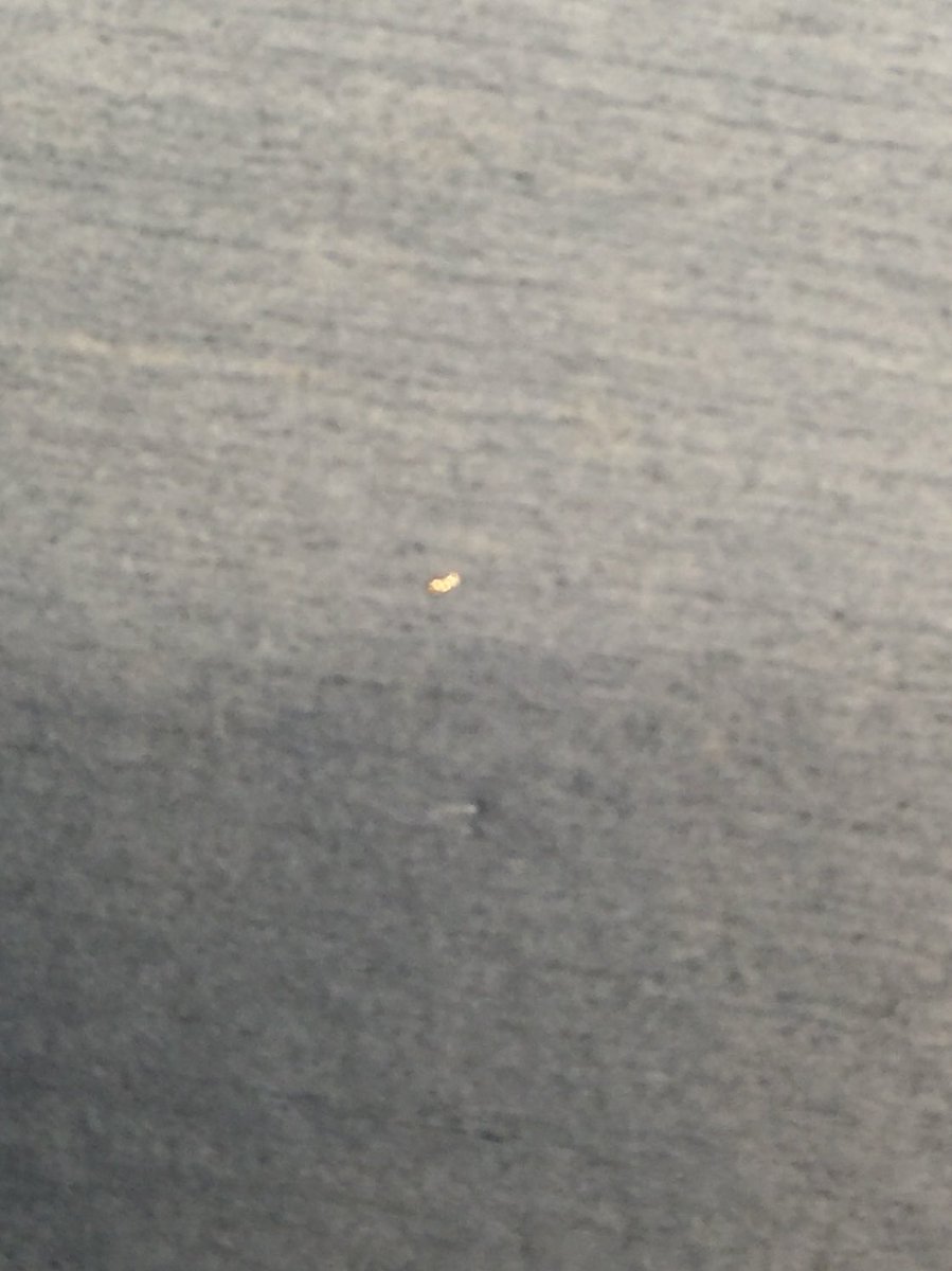 morris562's tweet photo. Found this metal shard in my Copenhagen mint pouches https://t.co/1V5PpXpjVW