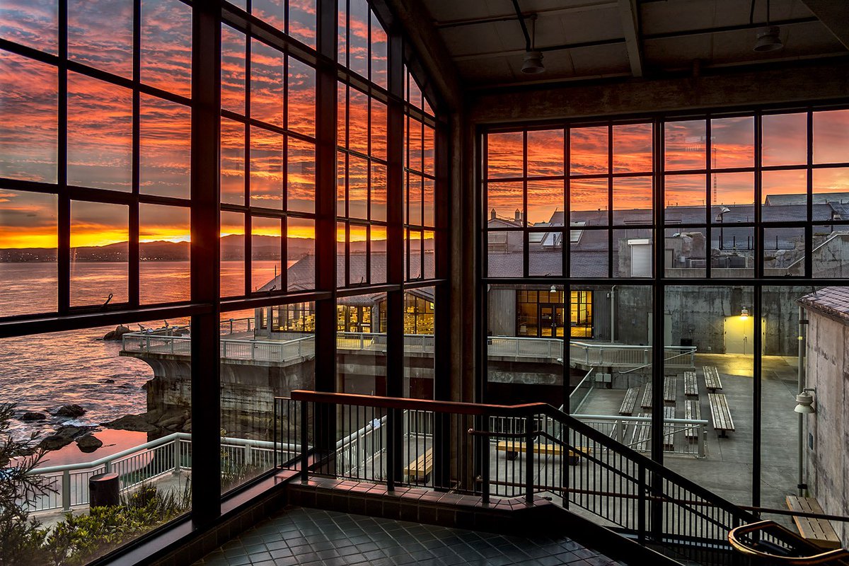 MontereyAq's tweet photo. The sun will rise and set regardless. What we choose to do with the light while it's here is up to us. -Alexandra Elle https://t.co/6wf7fCI60Z