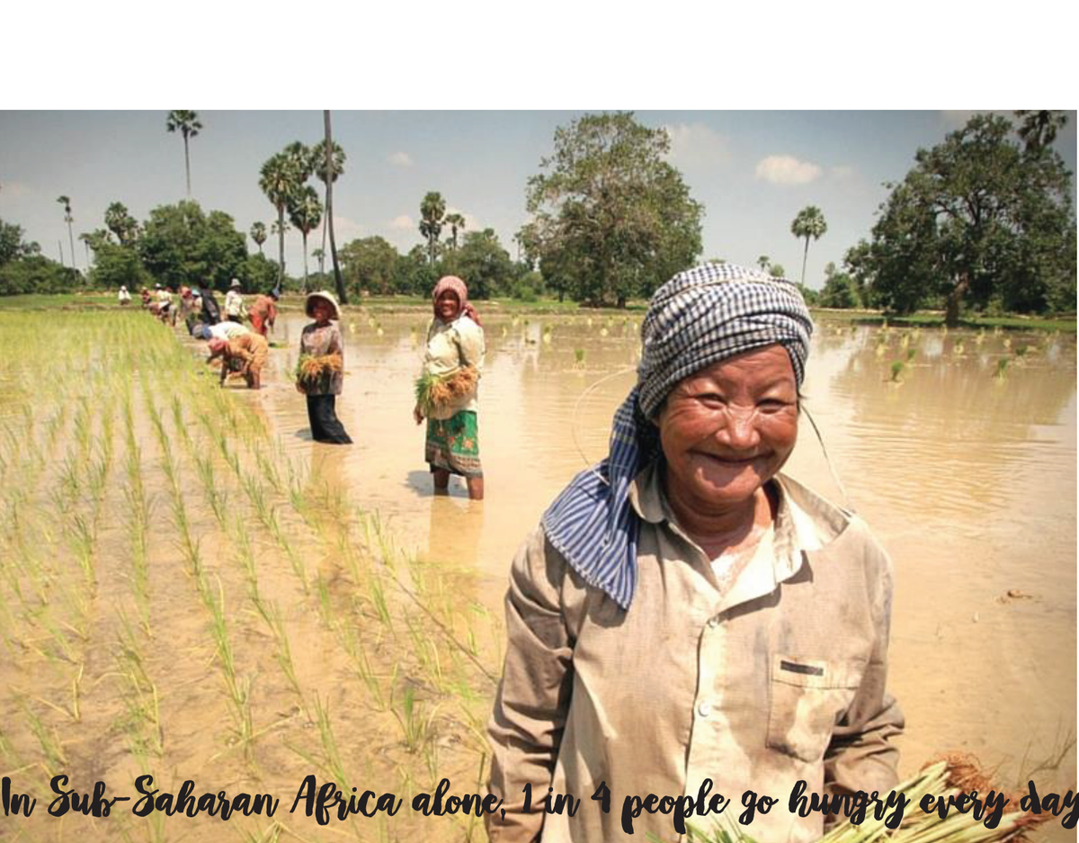 WaukeeFWW's tweet photo. Around 247 million people go hungry everyday in Sub-Saharan Africa #savethethird https://t.co/PPhKqoL4uG
