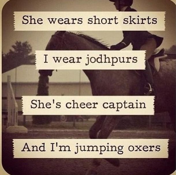ASUEquestrian's tweet photo. https://t.co/KgwS9WjomG